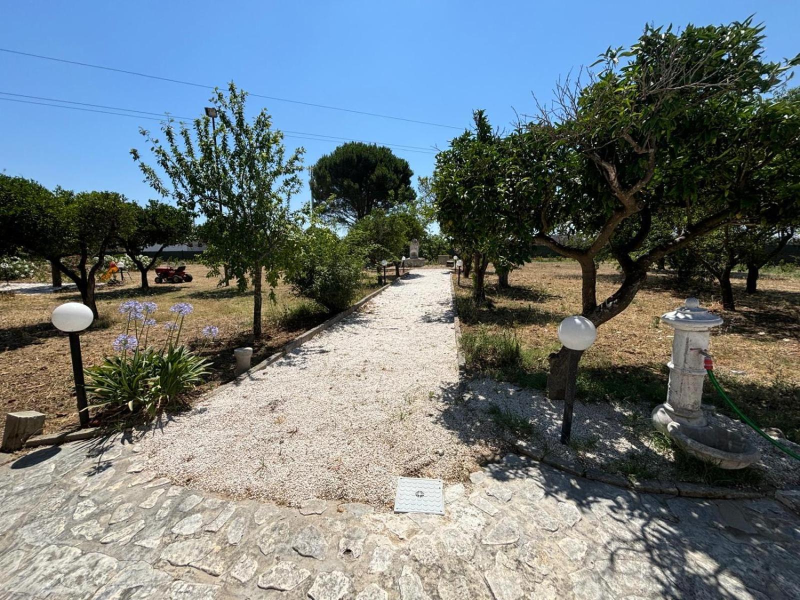 Tenuta Pizzi San Pietro Vernotico Εξωτερικό φωτογραφία