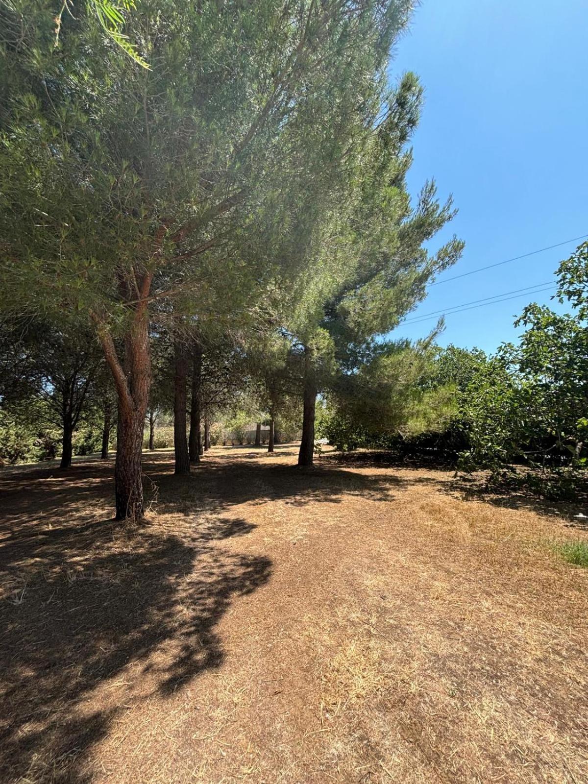 Tenuta Pizzi San Pietro Vernotico Εξωτερικό φωτογραφία